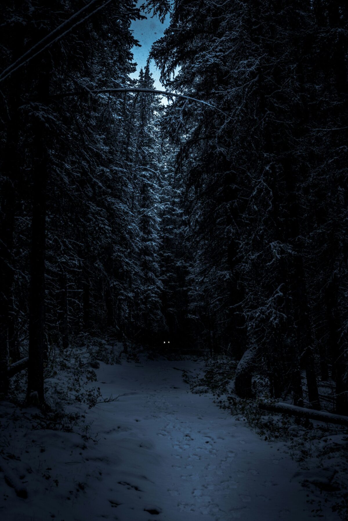 The Beast of Buile Hill